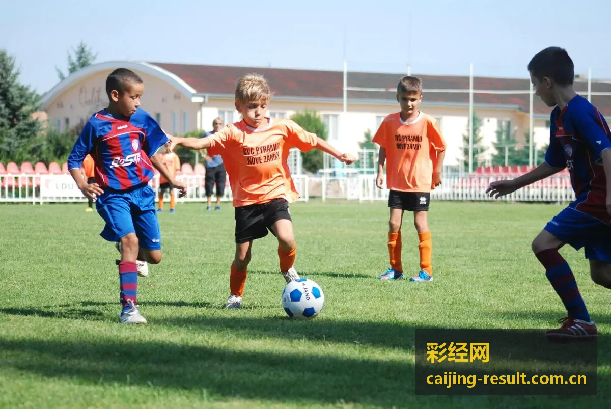 彩经网快乐8选号编辑精选第029期封面